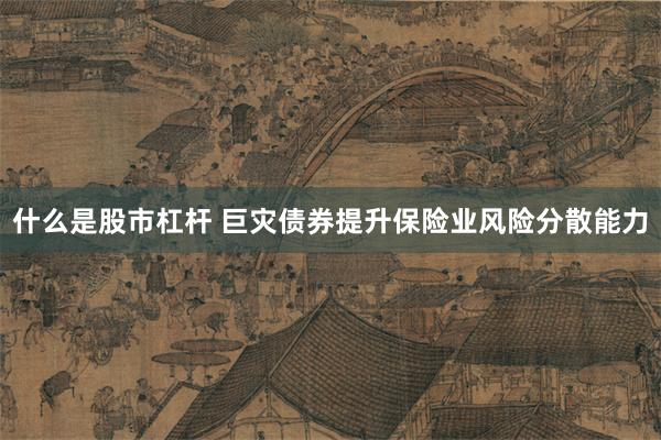 什么是股市杠杆 巨灾债券提升保险业风险分散能力