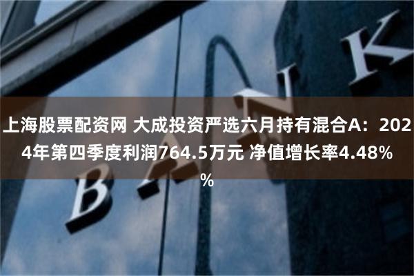 上海股票配资网 大成投资严选六月持有混合A：2024年第四季度利润764.5万元 净值增长率4.48%
