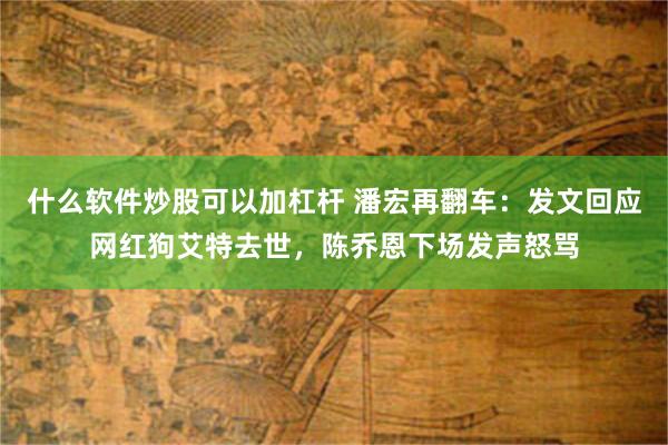 什么软件炒股可以加杠杆 潘宏再翻车：发文回应网红狗艾特去世，陈乔恩下场发声怒骂