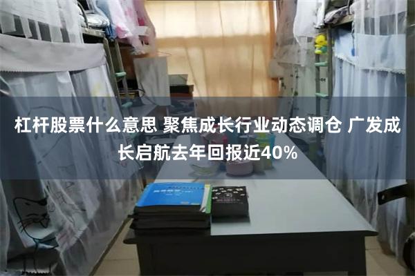 杠杆股票什么意思 聚焦成长行业动态调仓 广发成长启航去年回报近40%