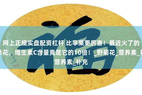 网上正规实盘配资杠杆 比苹果更厉害！最近火了的这朵花，维生素C含量竟是它的10倍！_野菊花_营养素_补充