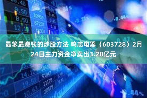 最笨最赚钱的炒股方法 鸣志电器（603728）2月24日主力资金净卖出3.28亿元