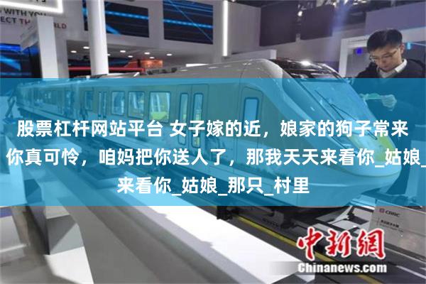 股票杠杆网站平台 女子嫁的近，娘家的狗子常来看她。狗：你真可怜，咱妈把你送人了，那我天天来看你_姑娘_那只_村里