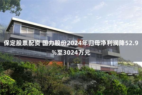 保定股票配资 国力股份2024年归母净利润降52.9%至3024万元