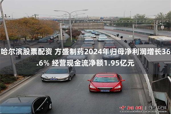 哈尔滨股票配资 方盛制药2024年归母净利润增长36.6% 经营现金流净额1.95亿元