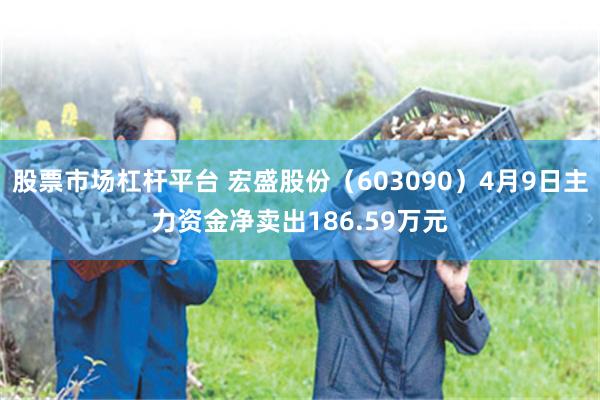 股票市场杠杆平台 宏盛股份（603090）4月9日主力资金净卖出186.59万元