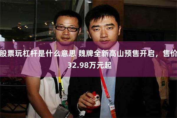 股票玩杠杆是什么意思 魏牌全新高山预售开启，售价 32.98万元起