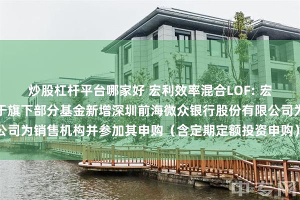 炒股杠杆平台哪家好 宏利效率混合LOF: 宏利基金管理有限公司关于旗下部分基金新增深圳前海微众银行股份有限公司为销售机构并参加其申购（含定期定额投资申购）费率优惠活动的公告