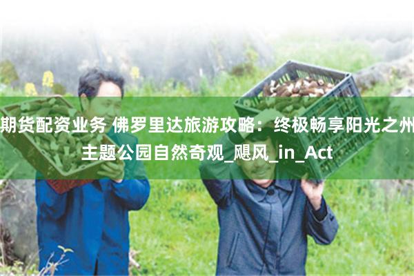 期货配资业务 佛罗里达旅游攻略：终极畅享阳光之州主题公园自然奇观_飓风_in_Act