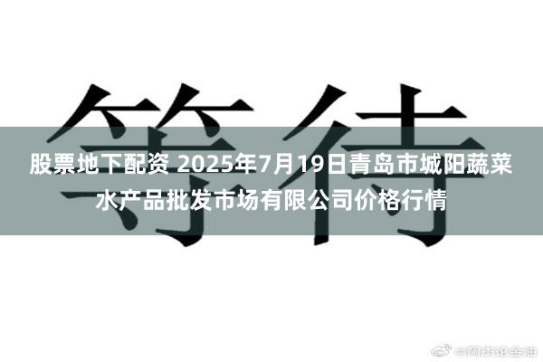股票地下配资 2025年7月19日青岛市城阳蔬菜水产品批发市场有限公司价格行情