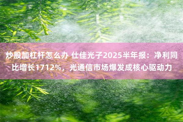 炒股加杠杆怎么办 仕佳光子2025半年报：净利同比增长1712%，光通信市场爆发成核心驱动力
