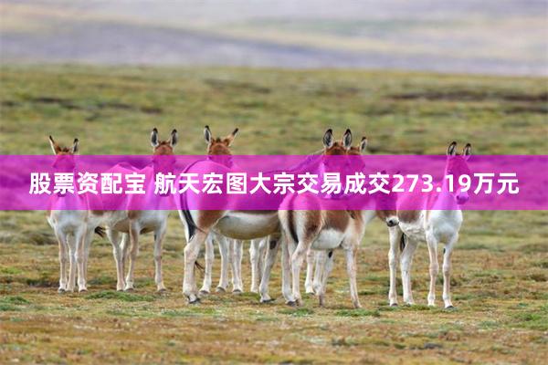 股票资配宝 航天宏图大宗交易成交273.19万元