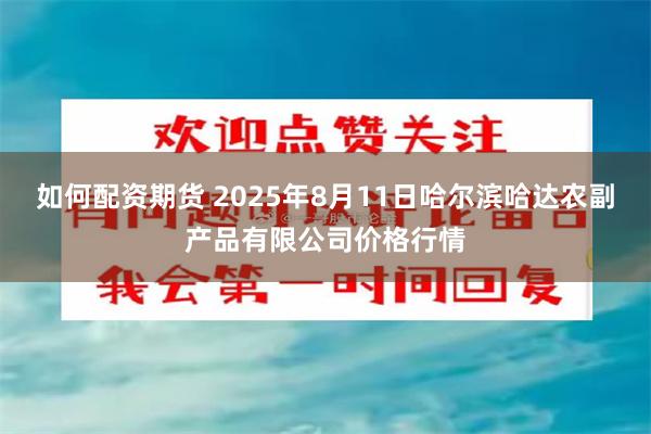 如何配资期货 2025年8月11日哈尔滨哈达农副产品有限公司价格行情