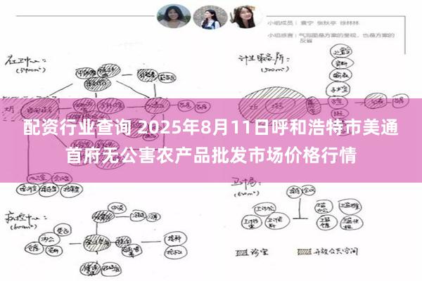 配资行业查询 2025年8月11日呼和浩特市美通首府无公害农产品批发市场价格行情