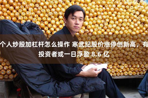 个人炒股加杠杆怎么操作 寒武纪股价涨停创新高，有投资者或一日浮盈 8.6 亿