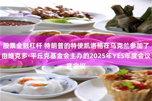 股票金融杠杆 特朗普的特使凯洛格在乌克兰参加了由维克多·平丘克基金会主办的2025年YES年度会议