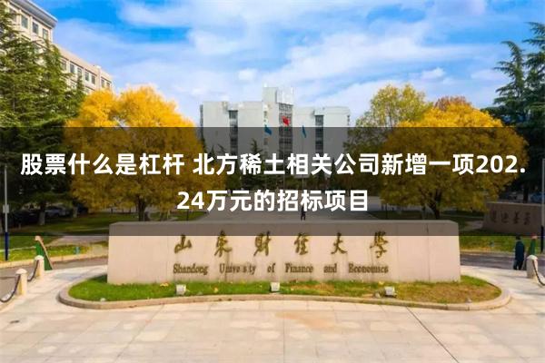 股票什么是杠杆 北方稀土相关公司新增一项202.24万元的招标项目