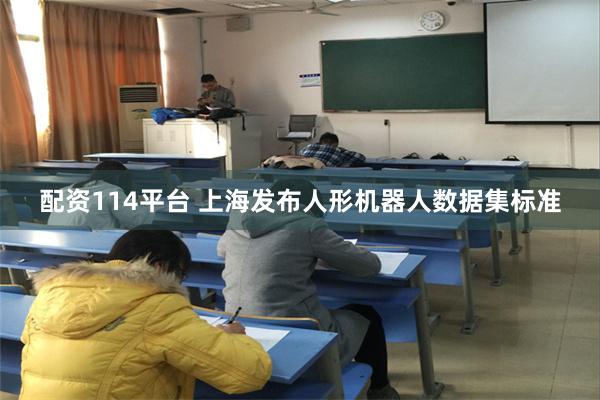 配资114平台 上海发布人形机器人数据集标准