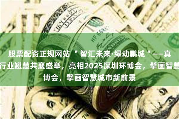 股票配资正规网站 ＂智汇未来·绿动鹏城＂——真和丽股份与行业翘楚共襄盛举，亮相2025深圳环博会，擘画智慧城市新前景